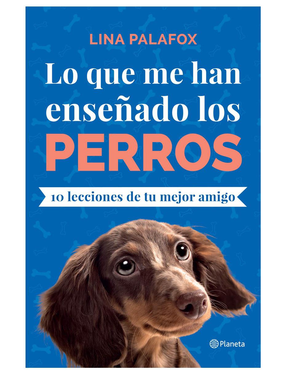 Lo que me han enseñado los perros