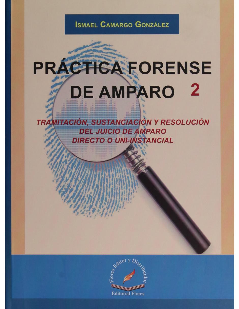 Revista Practica Forense De Amparo 2