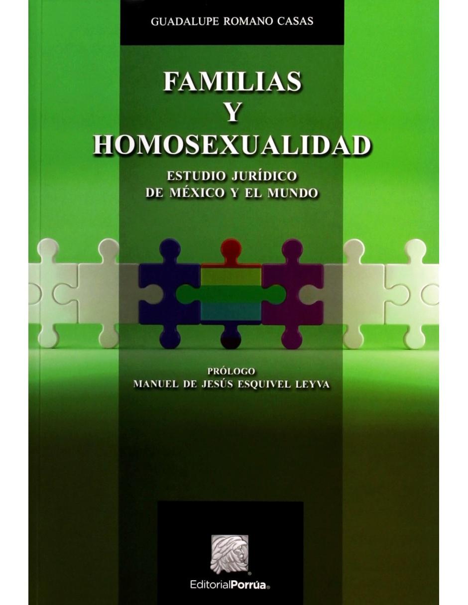Imagen de producto Libro Familias y Homosexualidad de Guadalupe Romano Casas