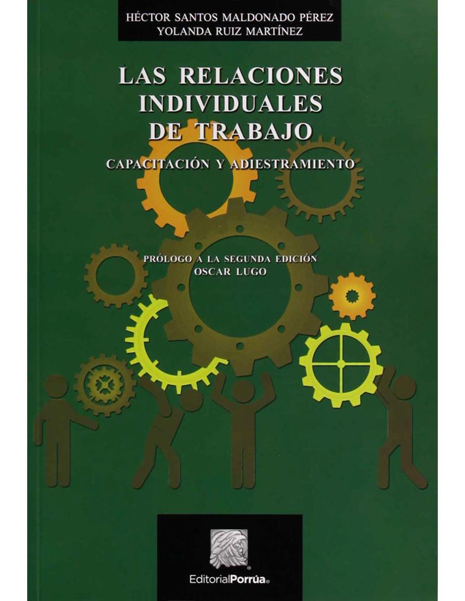 Libro Las relaciones individuales de trabajo