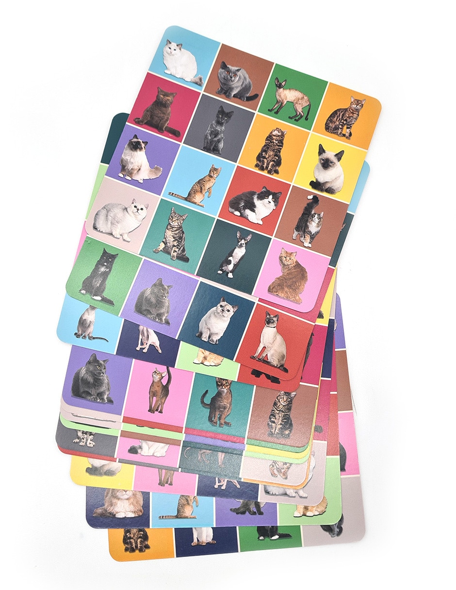 Juego de destreza cat bingo 4