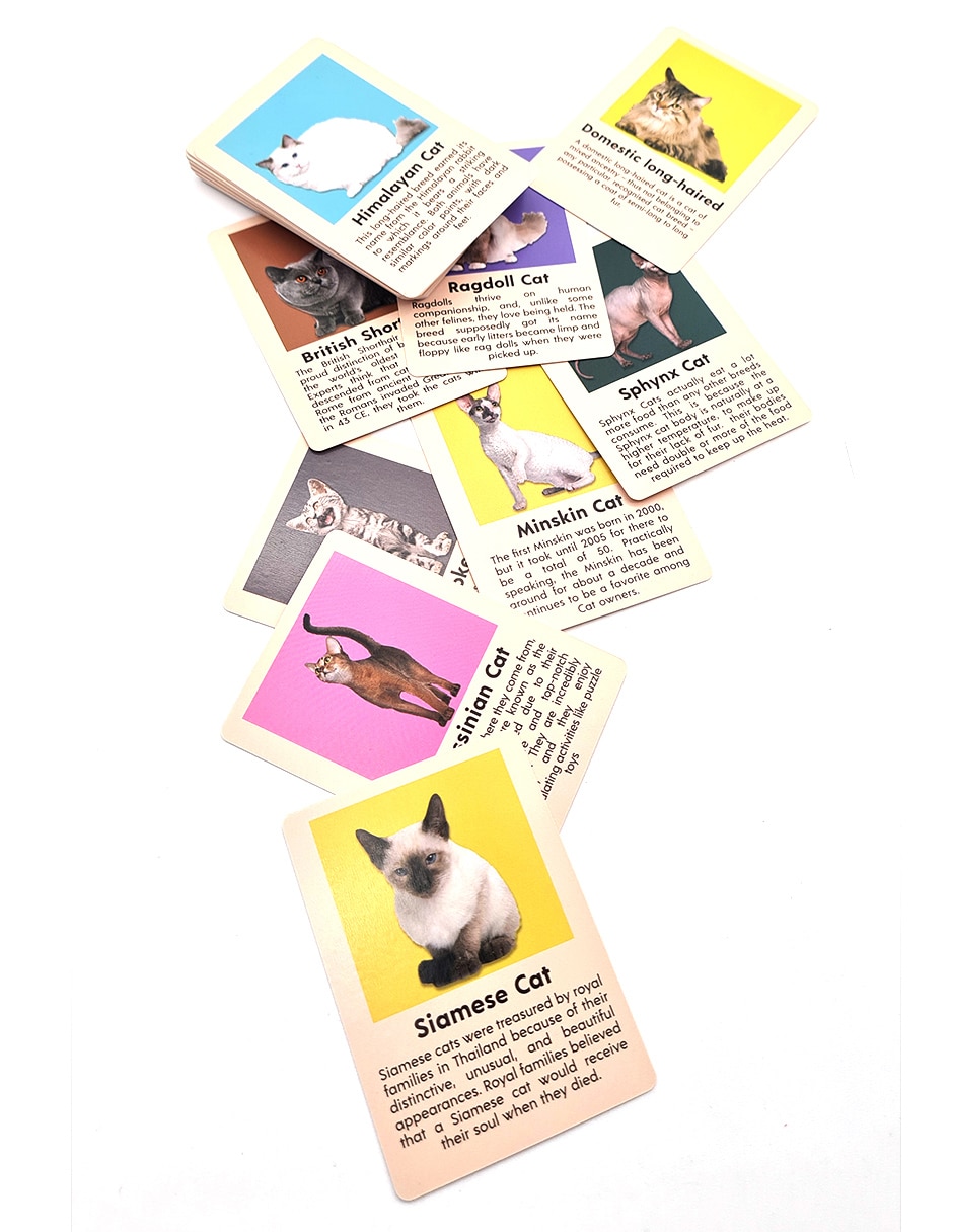Juego de destreza cat bingo 6