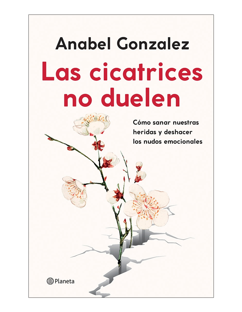 Libro Las cicatrices no duelen de Anabel Gonzalez