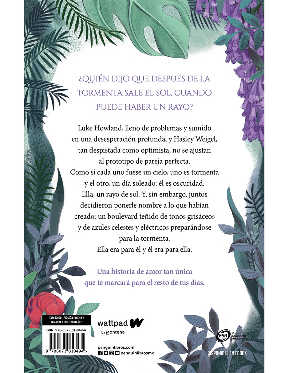 Libro Boulevard 1 de Flor M. Salvador