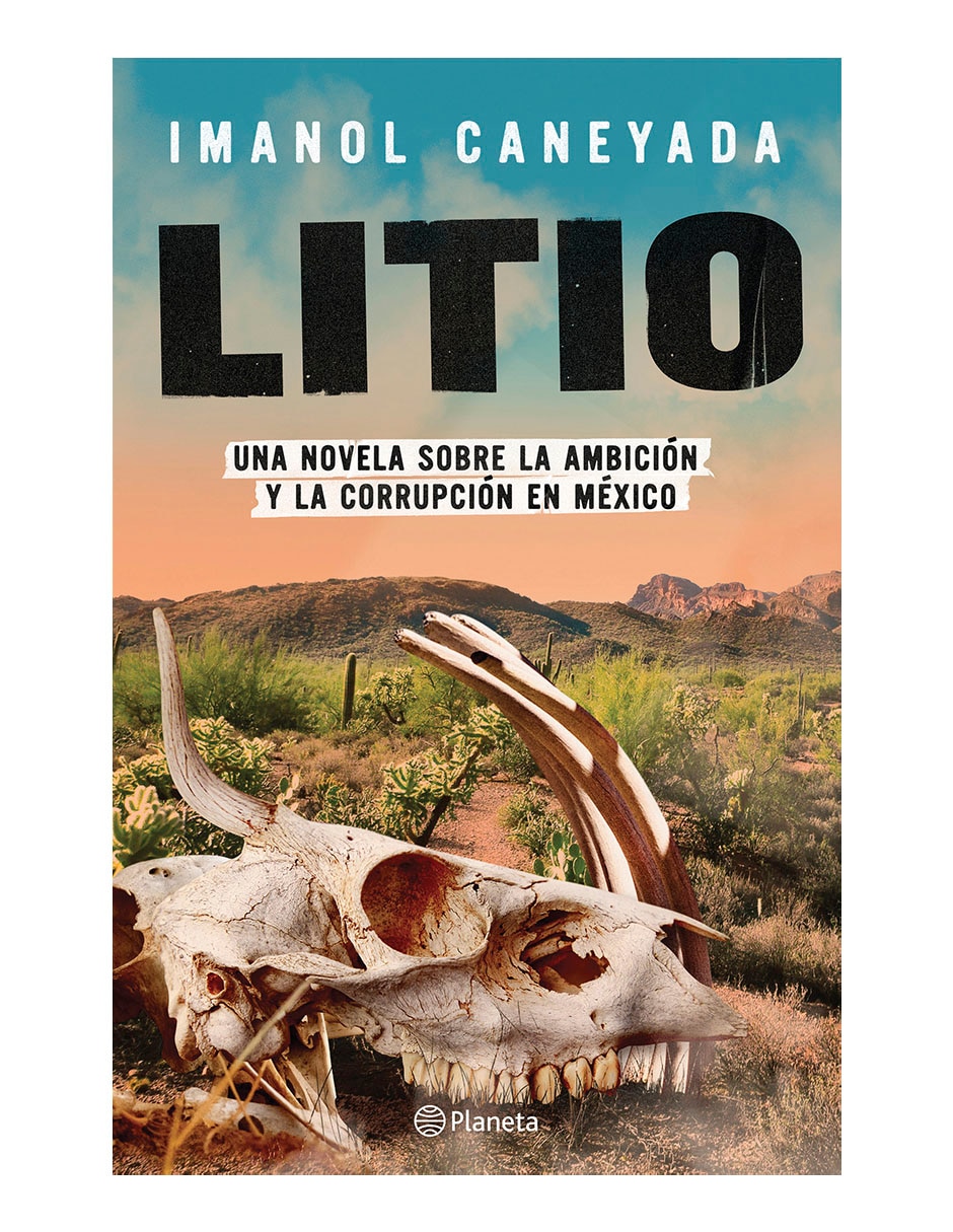 Libro Litio de Imanol Caneyada 1