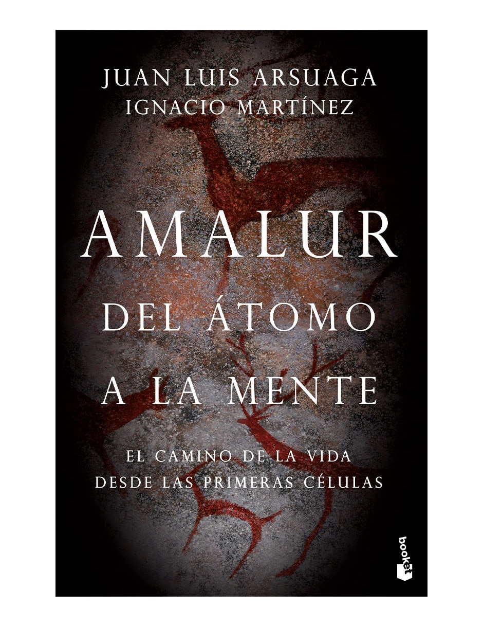 Libro Amalur de Ignacio Martínez 1