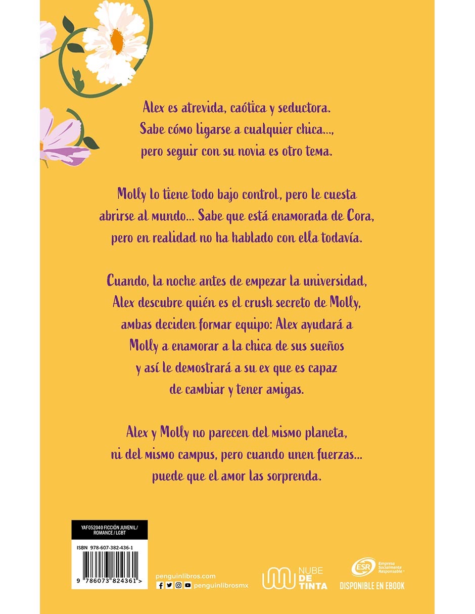 Libro Chica conoce chica de Rachael Lippincott / Alyson Derrick Libro Chica conoce chica de Rachael Lippincott / Alyson Derrick