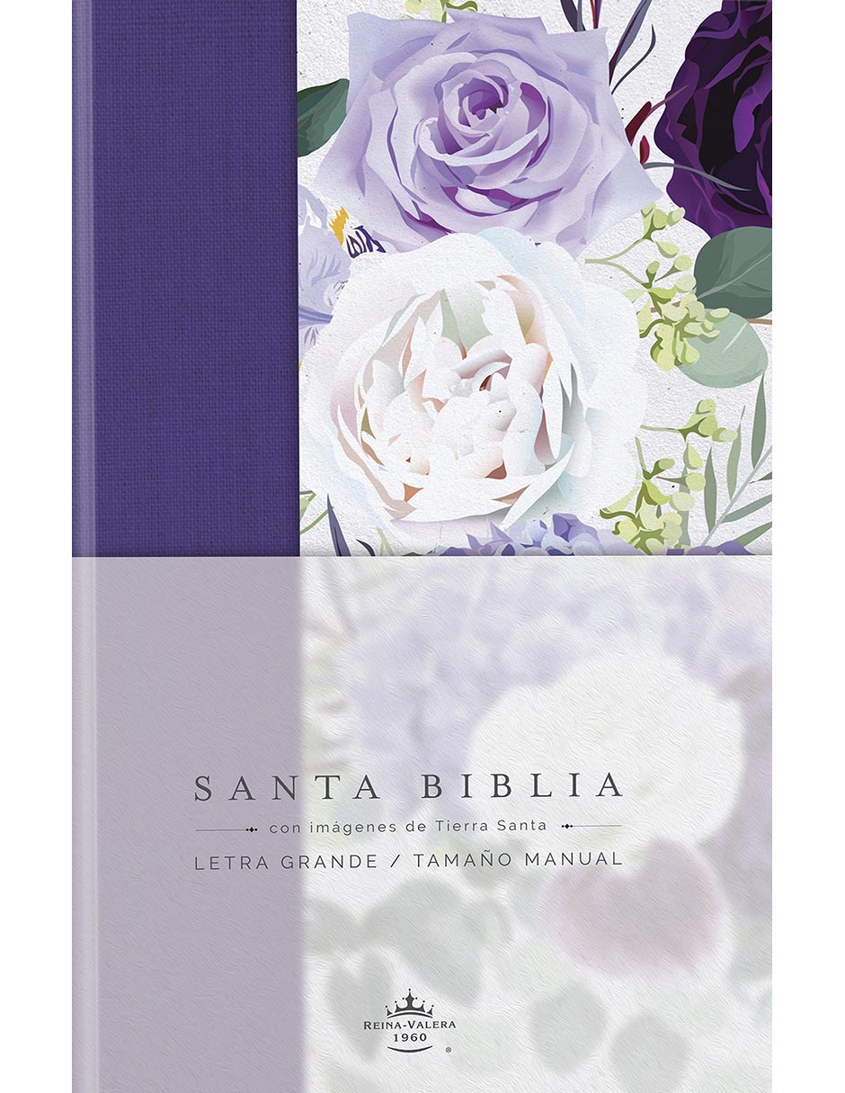Libro Santa Biblia de Reina Valera Libro Santa Biblia de Reina Valera
