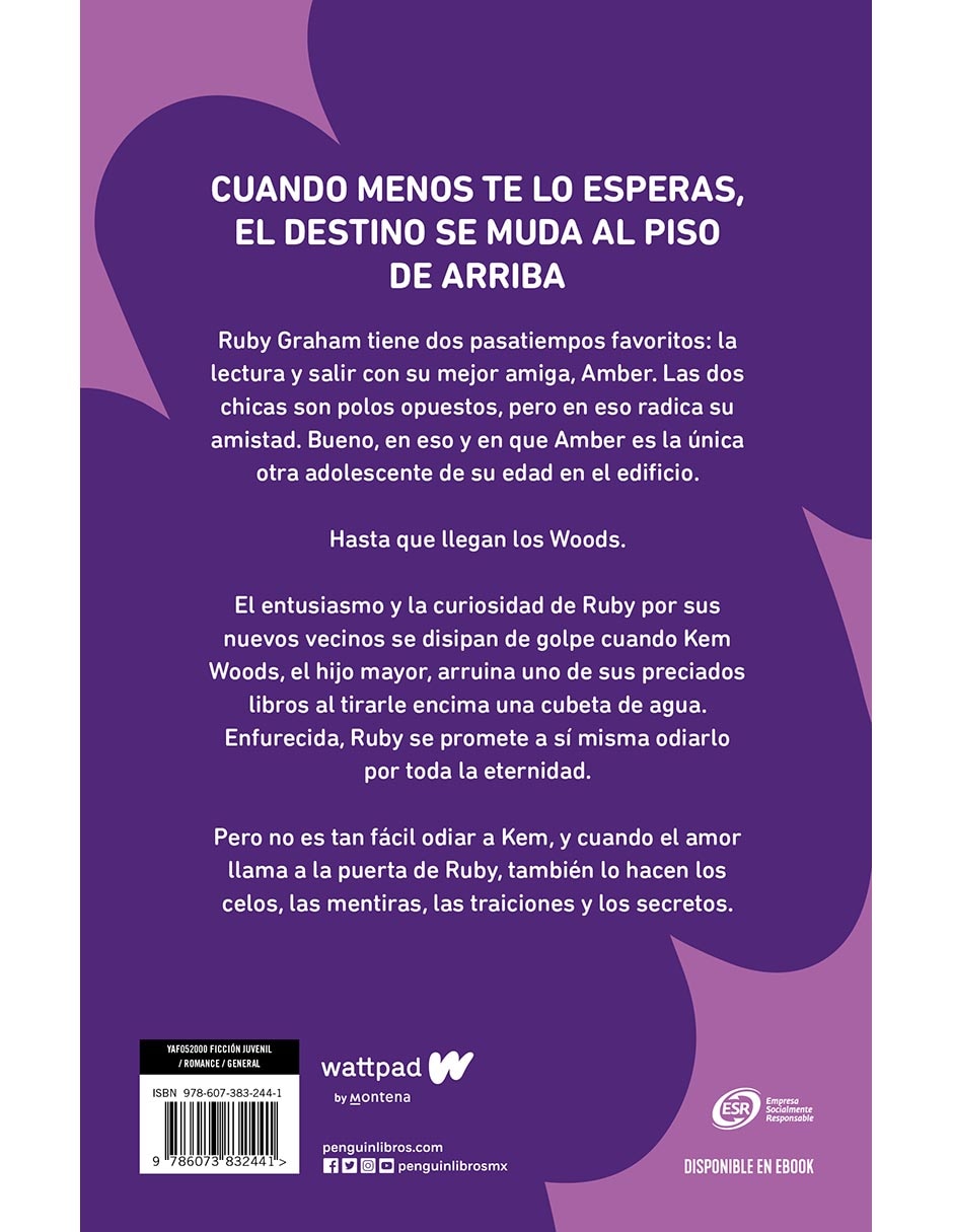 Libro El chico de arriba de Marie Jenn 3
