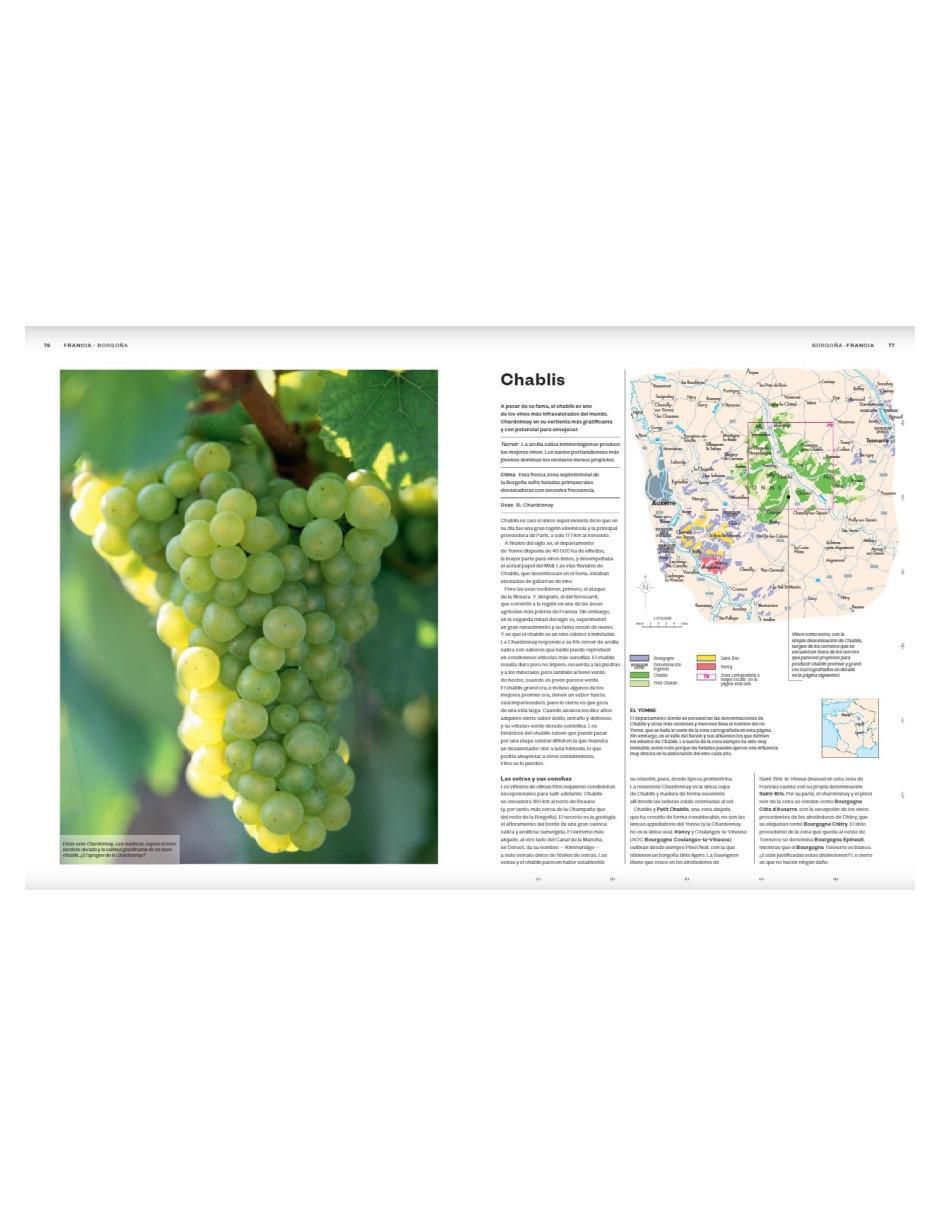 Libro Atlas mundial del vino de Hugh Johnson/ Jancis Robinson 3