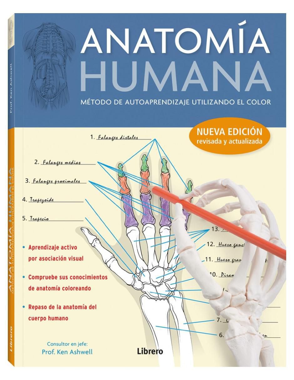Libro Anatomía humana: Método de autoaprendizaje utilizando color de Kurt H. Albertine Libro Anatomía humana: Método de autoaprendizaje utilizando color de Kurt H. Albertine