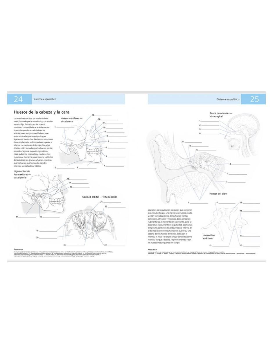 Libro Anatomía humana: Método de autoaprendizaje utilizando color de Kurt H. Albertine 3