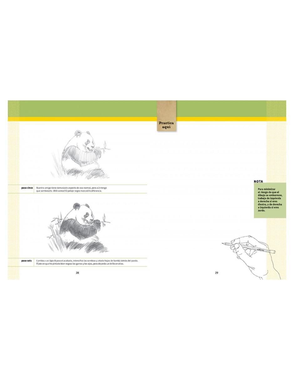 Libro 50 ideas para dibujar de Ed Tadem