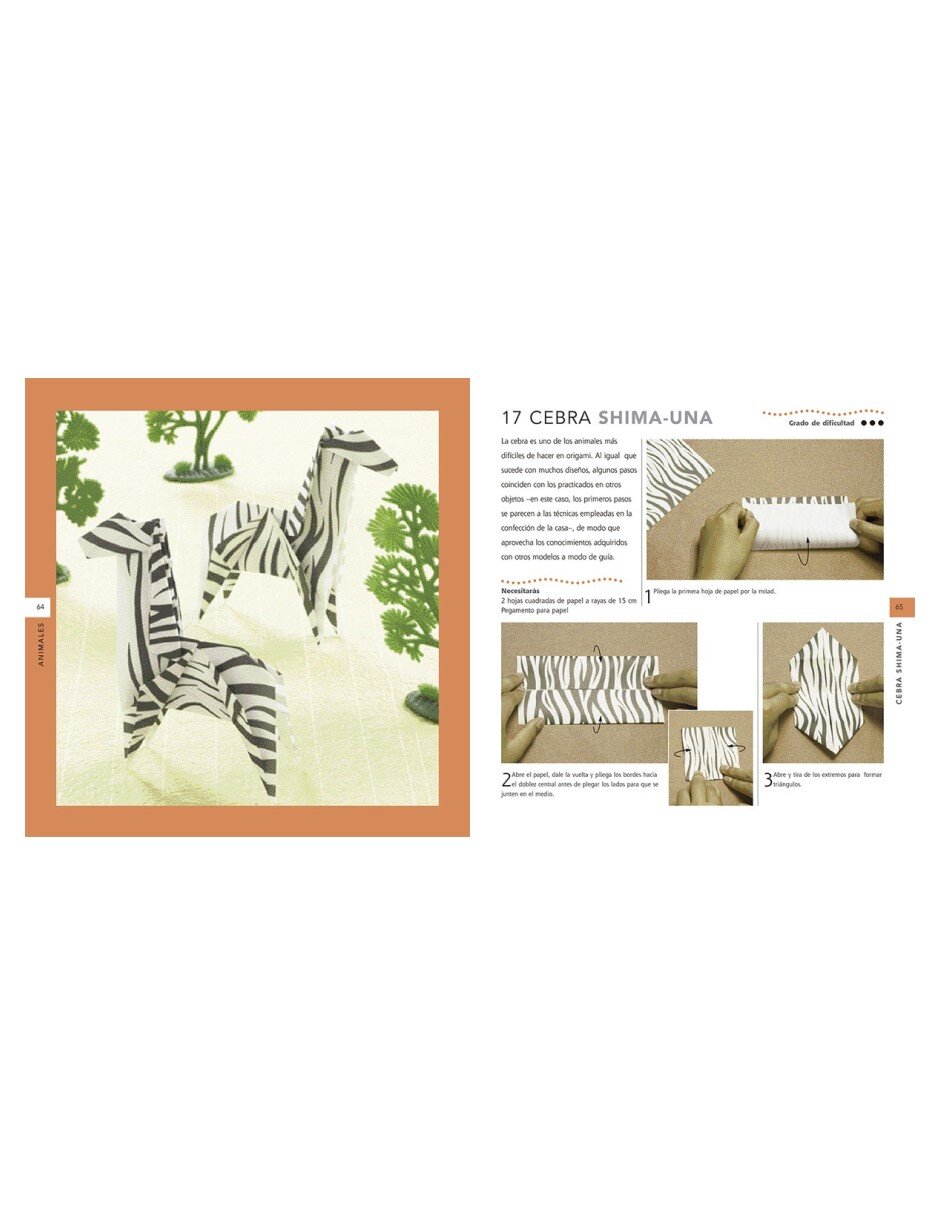 Libro Origami para niños de Mari Ono y Roshin Ono