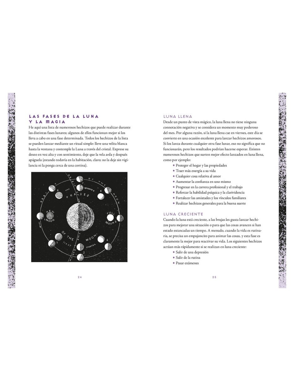 Libro Wiccapedia diario de Shawn Robbins/Leanna Greenaway 2
