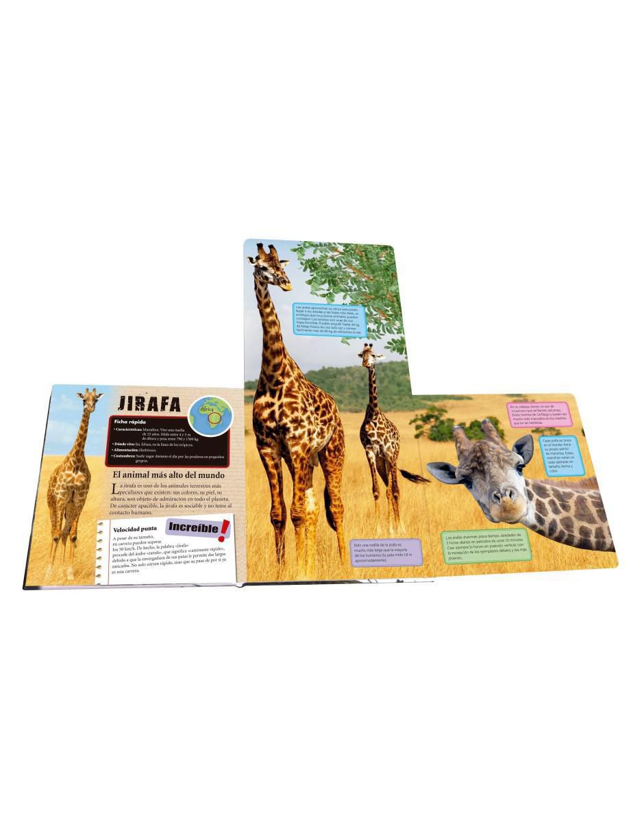 Libro Animales Extraordinarios de Equipo Libsa 3