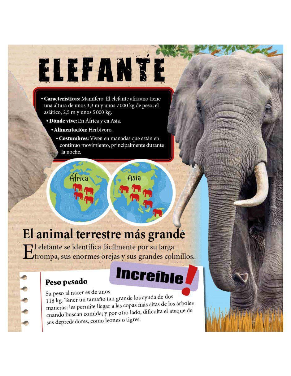 Libro Animales Extraordinarios de Equipo Libsa 2