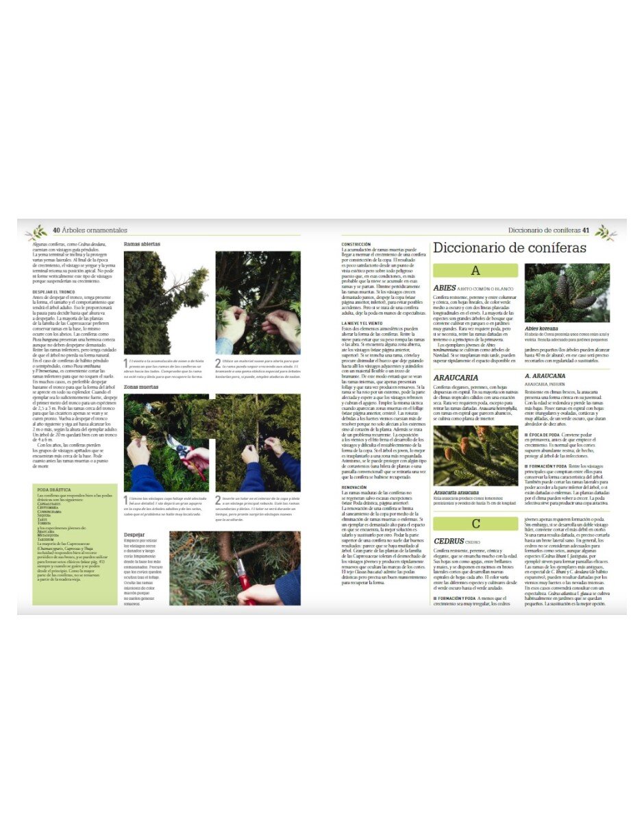 Libro Enciclopedia de la poda y formación de Cristopher Brickell/David joyce /Royal Horticultural Society 4