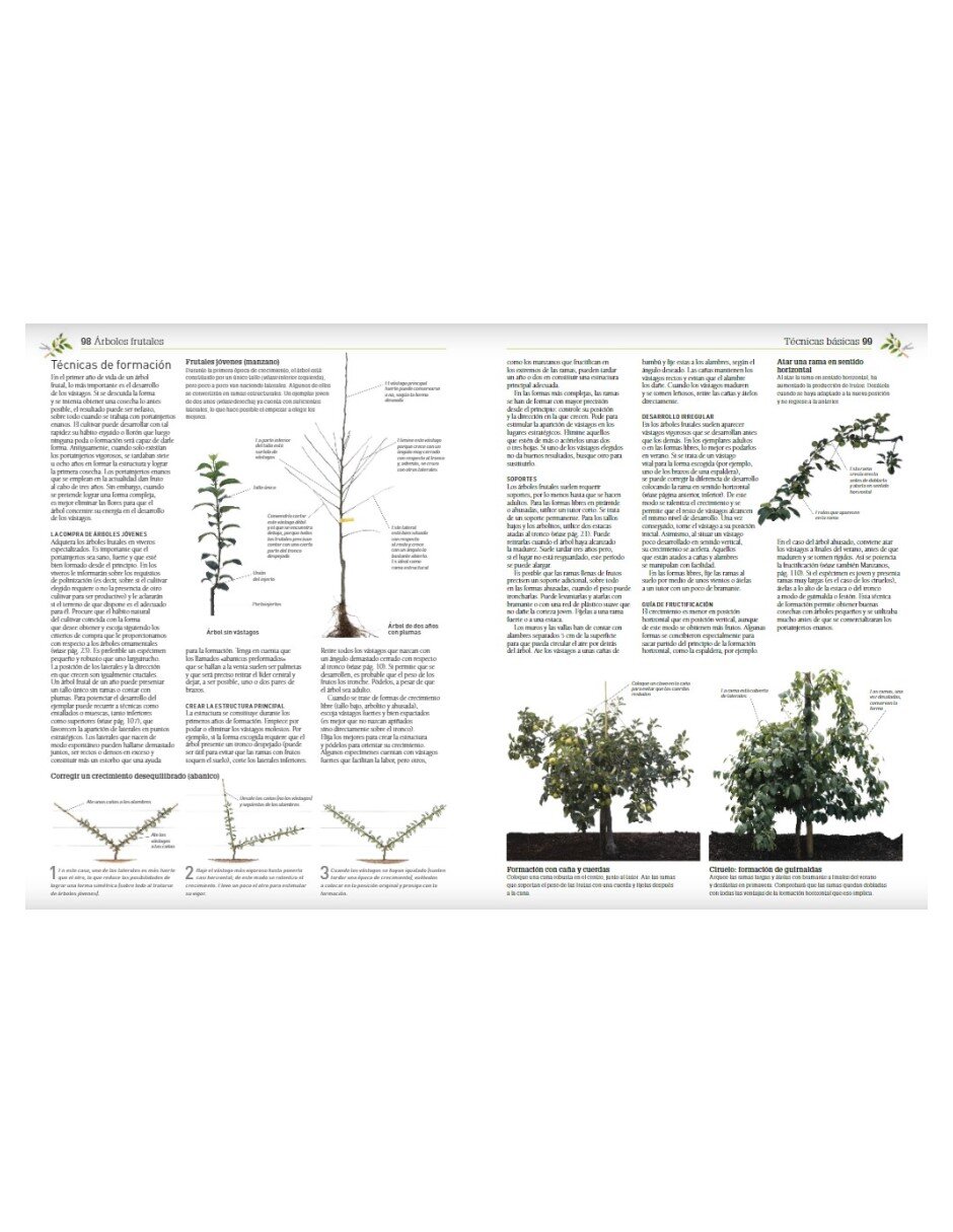 Libro Enciclopedia de la poda y formación de Cristopher Brickell/David joyce /Royal Horticultural Society 2
