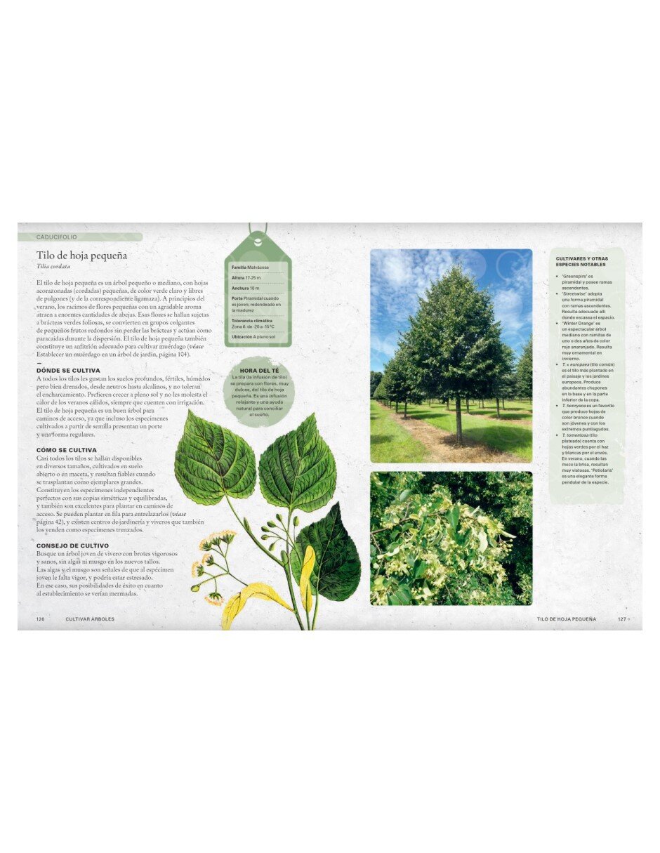 Libro Cultivar árboles de T. Kirkham, Royal Botanic Gardens y Kew 2