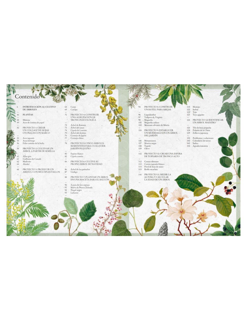 Libro Cultivar árboles de T. Kirkham, Royal Botanic Gardens y Kew 4