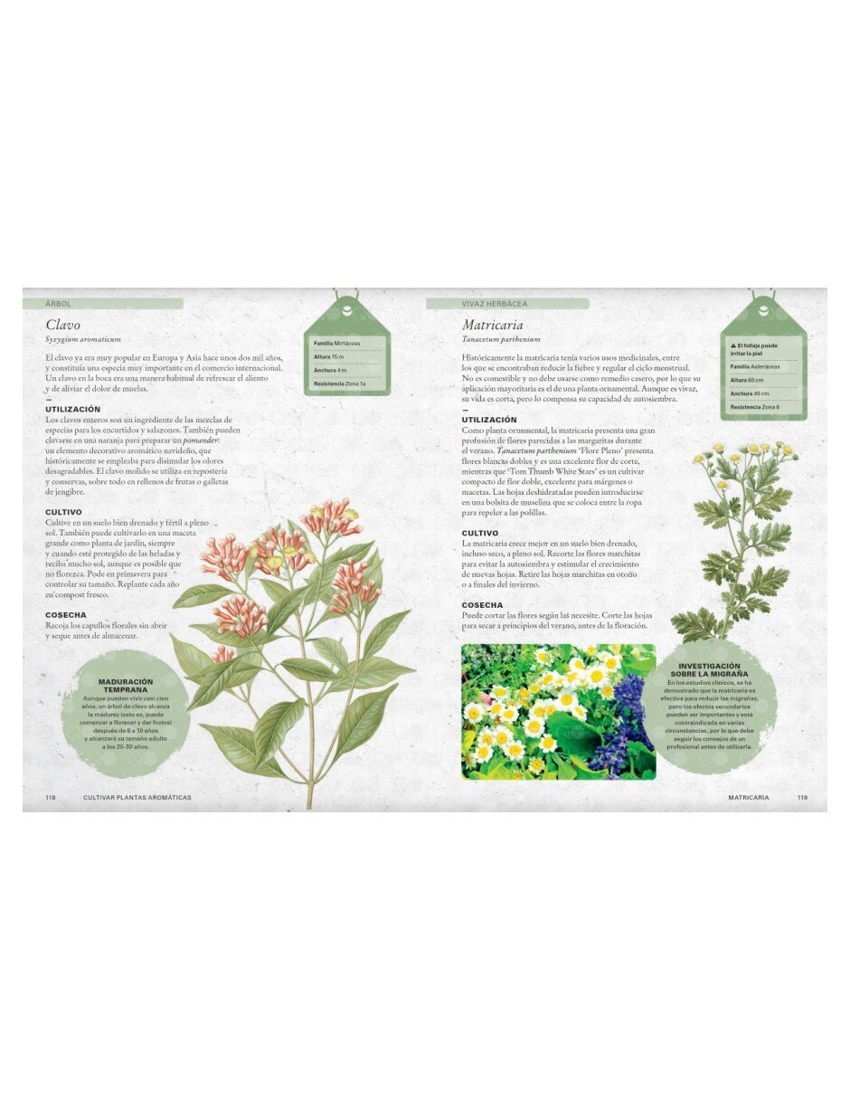 Libro Cultivar plantas aromáticas de Holly Farrell 2