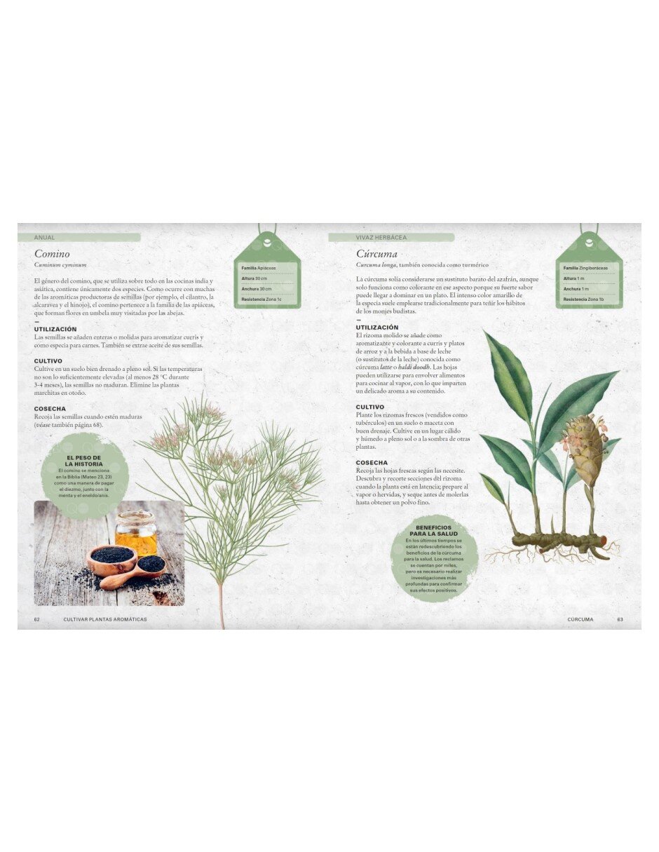 Libro Cultivar plantas aromáticas de Holly Farrell