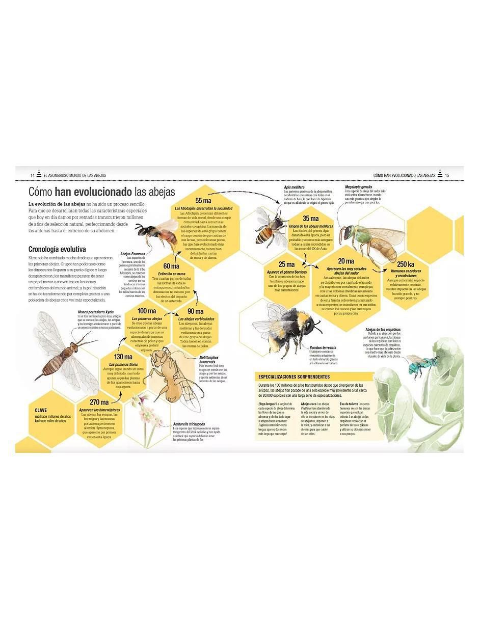 Libro El libro de las abejas de Varios autores 2