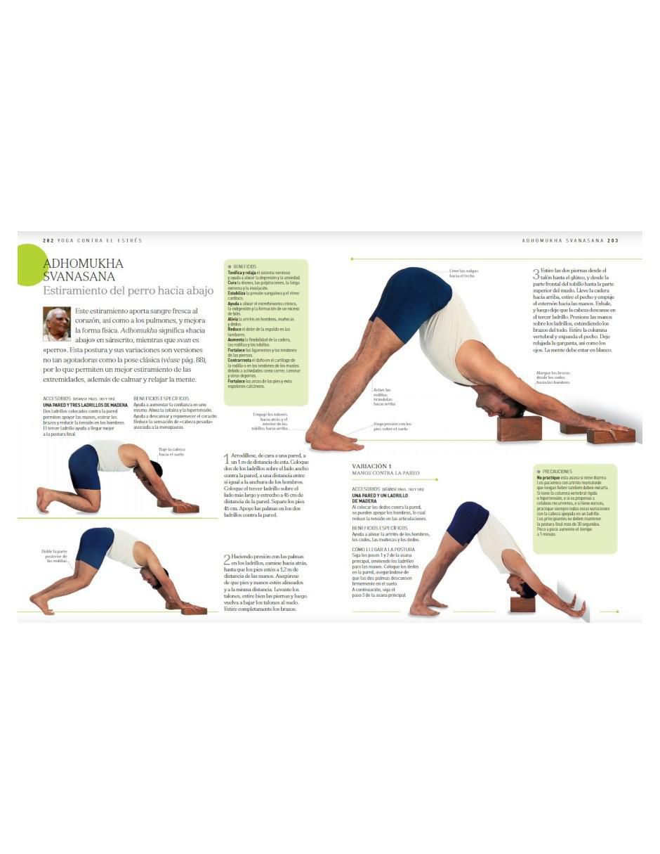 Libro Yoga. El sendero hacia la Salud Holística de B.k.s. Iyengar