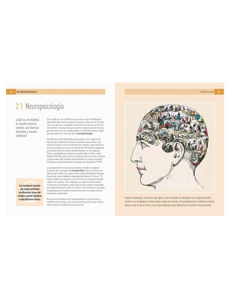 Libro Psicología: 100 Conceptos de Christopher Sterling / Daniel Frings