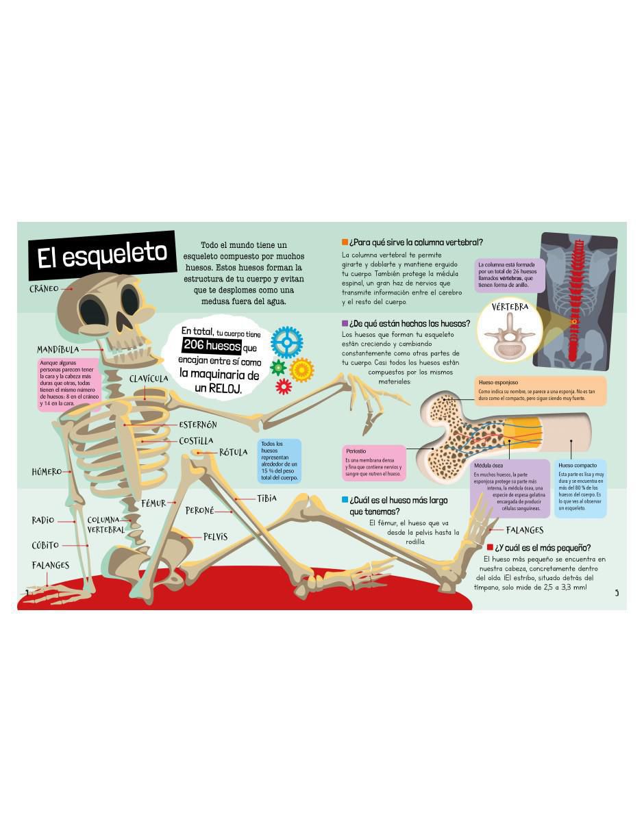 Libro Guía definitiva del cuerpo humano de Carla Nieto Martínez