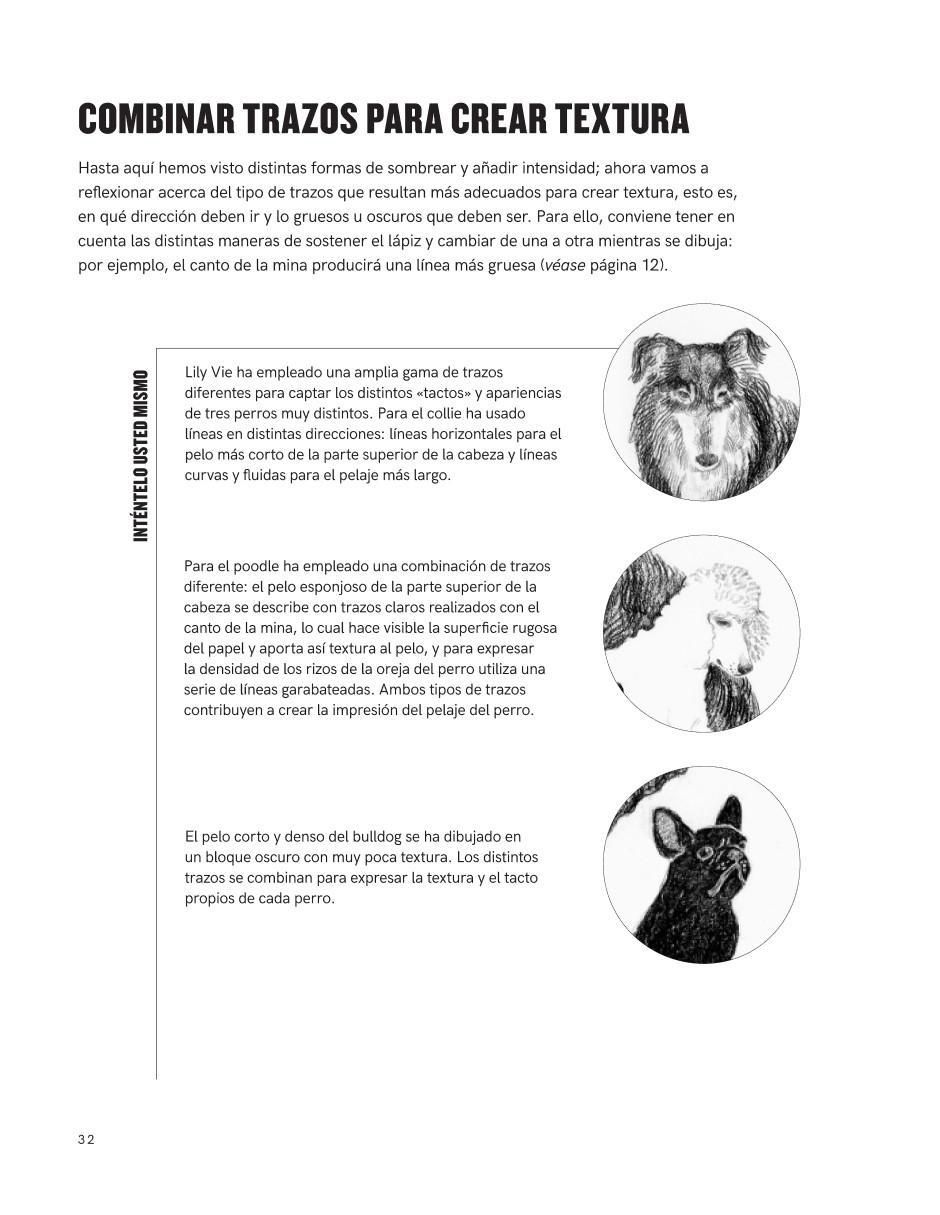 Libro Lápiz: Ideas creativas y técnicas de Eve Blackwood / Selwyn Leamy