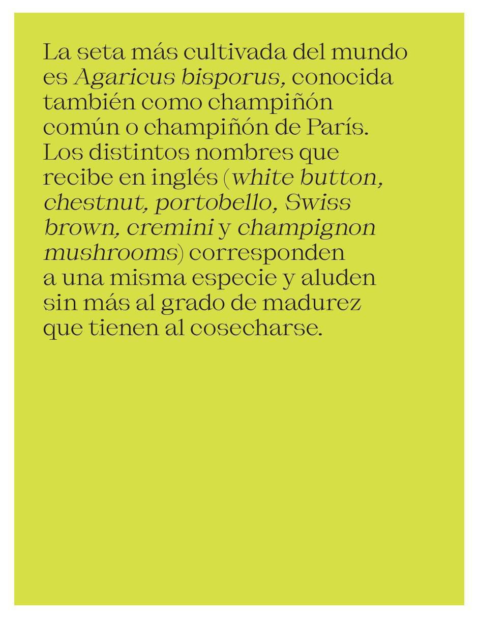 Libro El Futuro es Fúngico de Michael Lim y Yun Shu