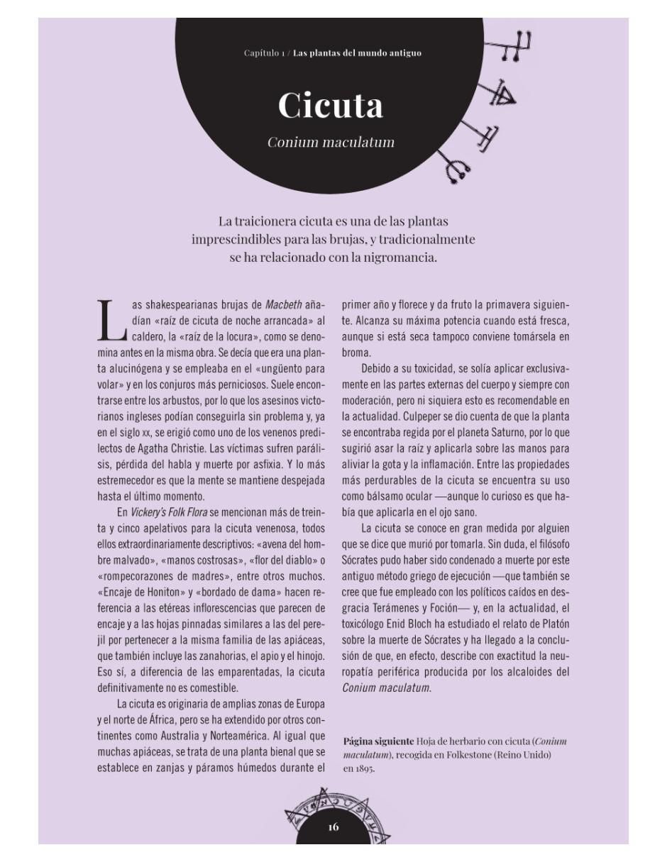 Libro El Huerto de las Brujas de Sandra Lawrence / Royal Botanic Gardens