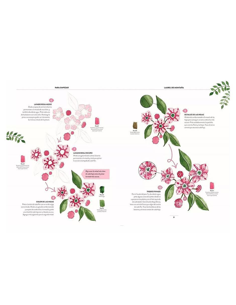 Libro Pintar Acuarelas en 10 Pasos. Flores y Plantas de Eleanor Longhurst