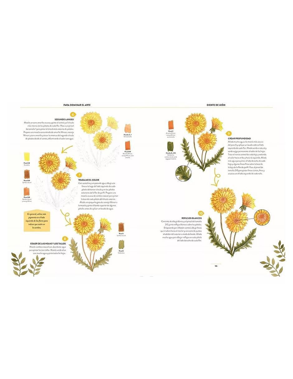 Libro Pintar Acuarelas en 10 Pasos. Flores y Plantas de Eleanor Longhurst