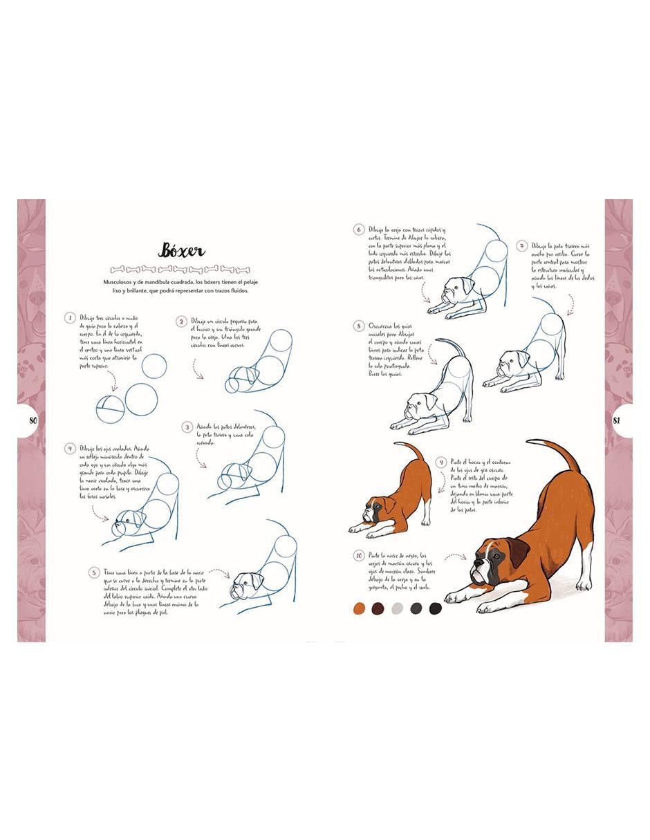 Libro Dibujar en 10 Pasos Perros de Justine Lecouffe