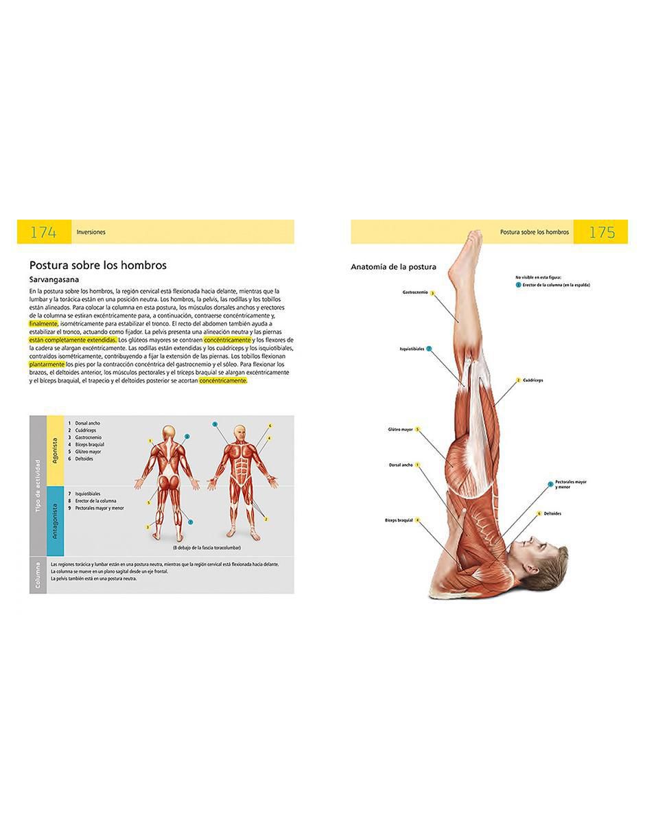 Libro Anatomía del Yoga de Sally Parkes