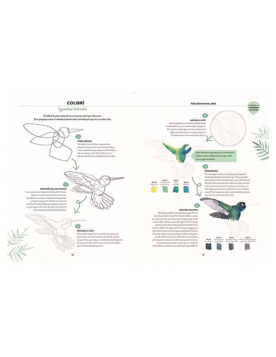Libro Pintar Acuarelas en 10 Pasos. Aves de Eleanor Longhurst