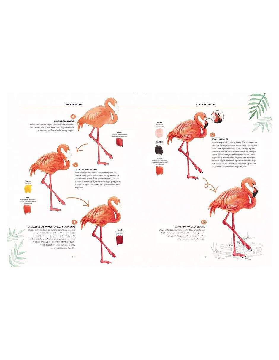 Libro Pintar Acuarelas en 10 Pasos. Aves de Eleanor Longhurst