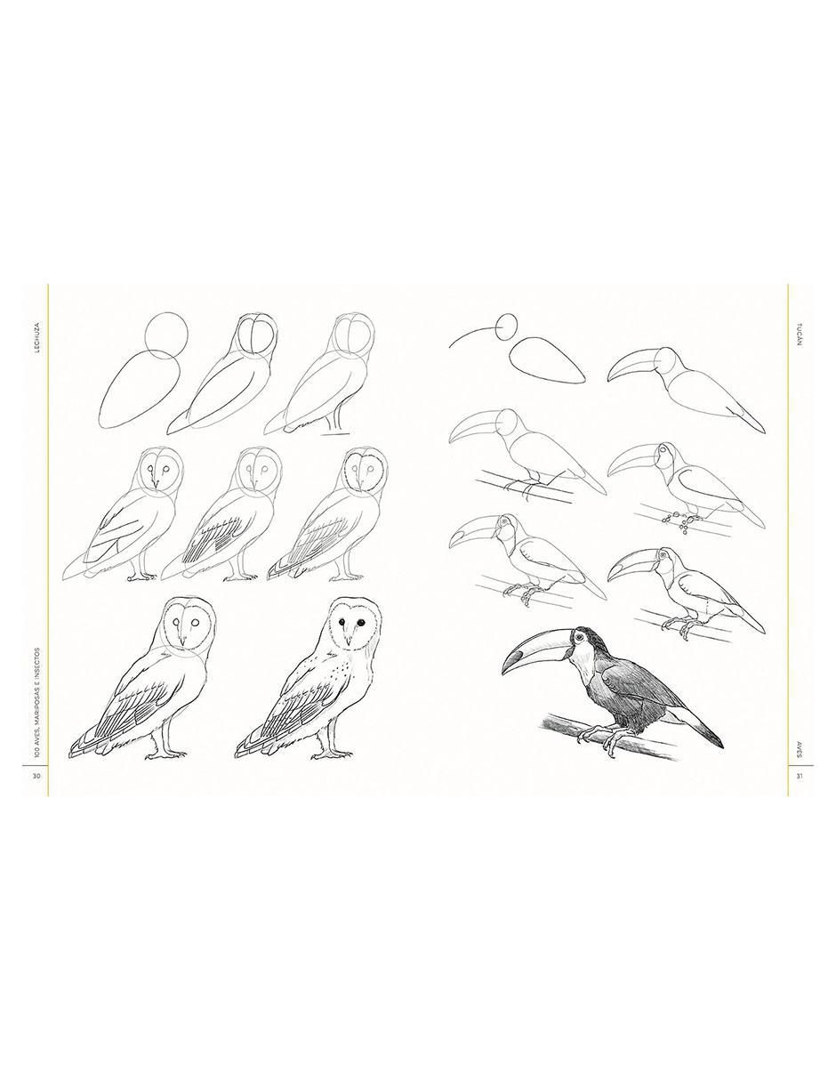 Libro 100 Aves, Mariposas e Insectos. Dibujo realista paso a paso de Melissa Washburn