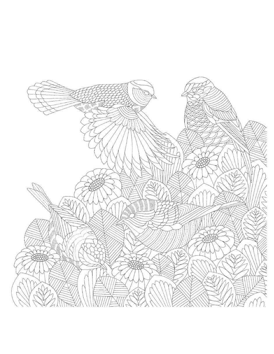 Libro Aves Hermosas y Otros Tesoros de los Árboles Una aventura para colorear de Millie Marotta 4