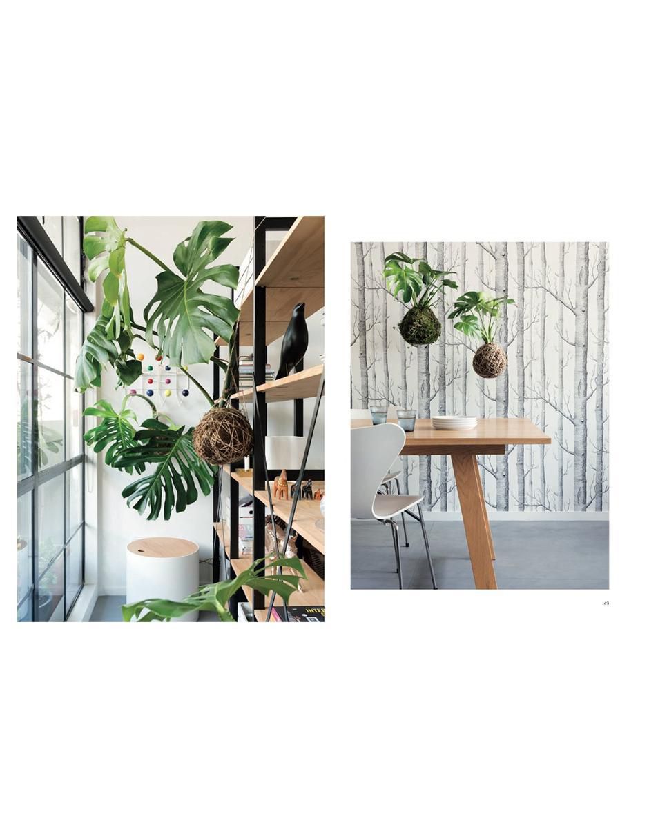 Libro Kokedama: Plantas sin Recipientes para el hogar de Coraleigh Parker / Larnie Nicolson