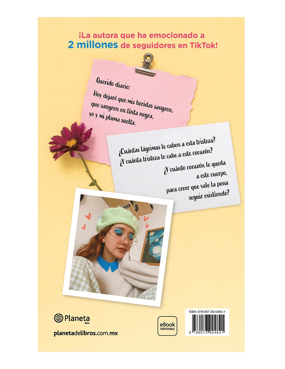 Libro Querido diario de Michelle Rangel 2