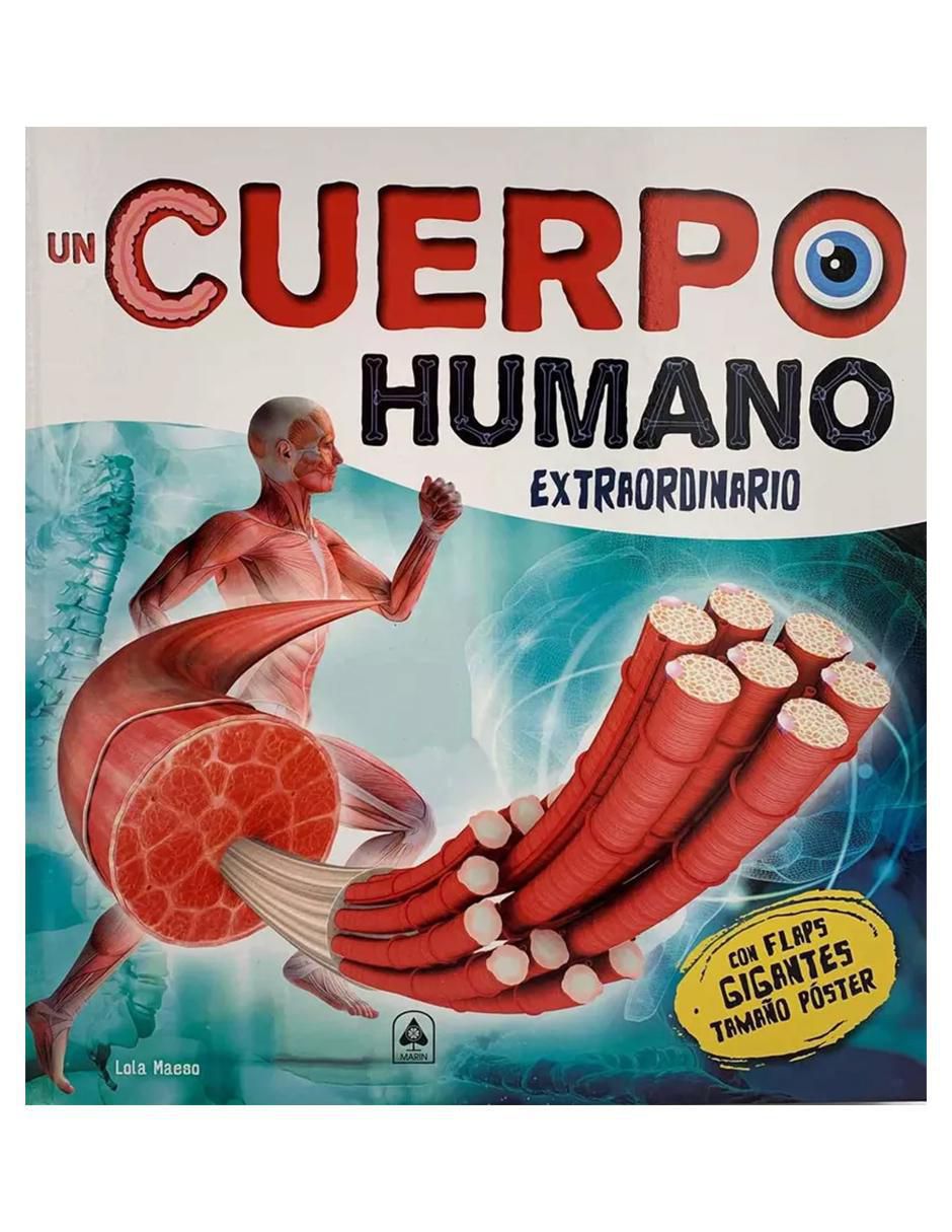 Libro Un cuerpo humano extraordinario con flaps gigantes de Lola Maeso Libro Un cuerpo humano extraordinario con flaps gigantes de Lola Maeso