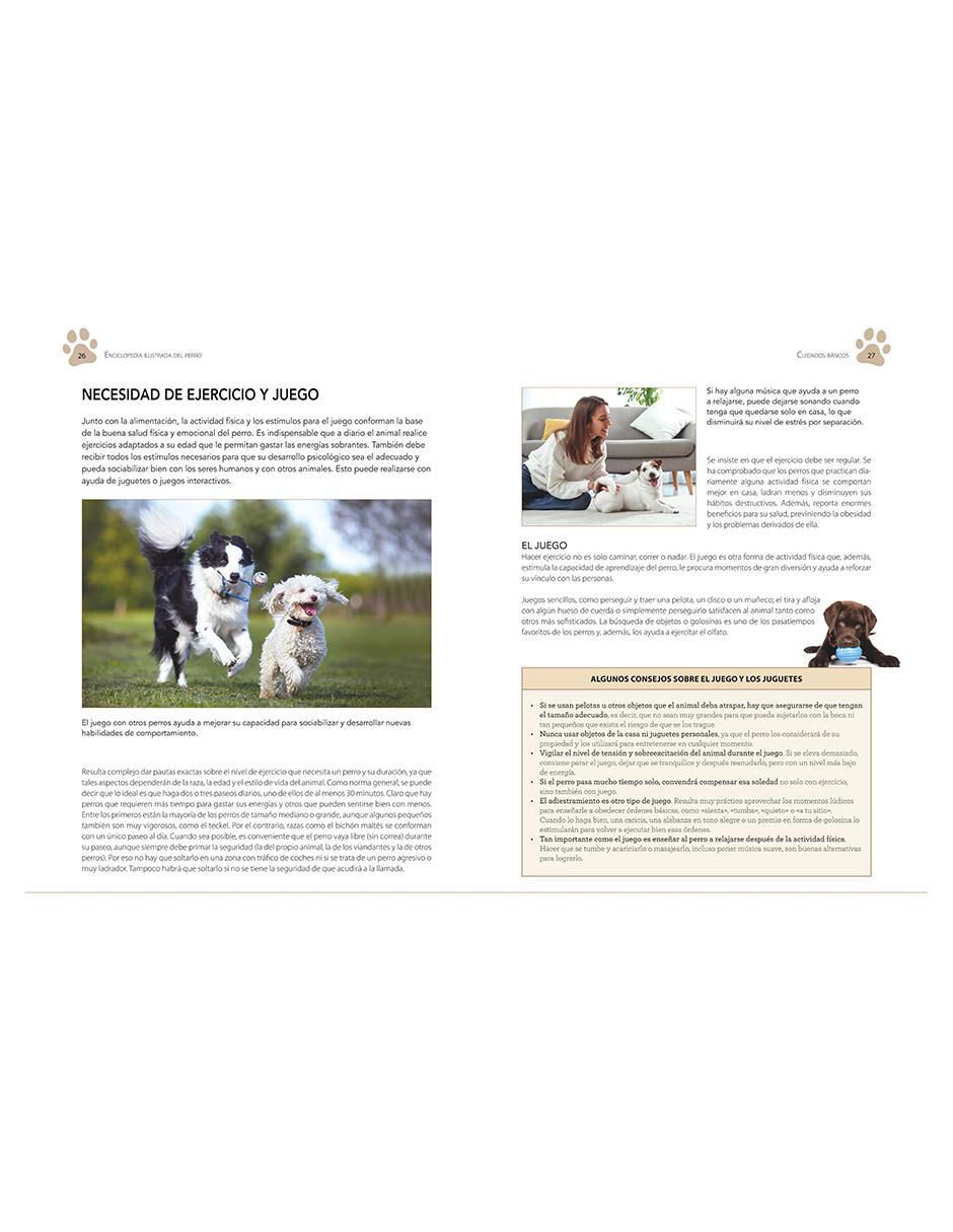 Libro Enciclopedia ilustrada del perro de Marín 4