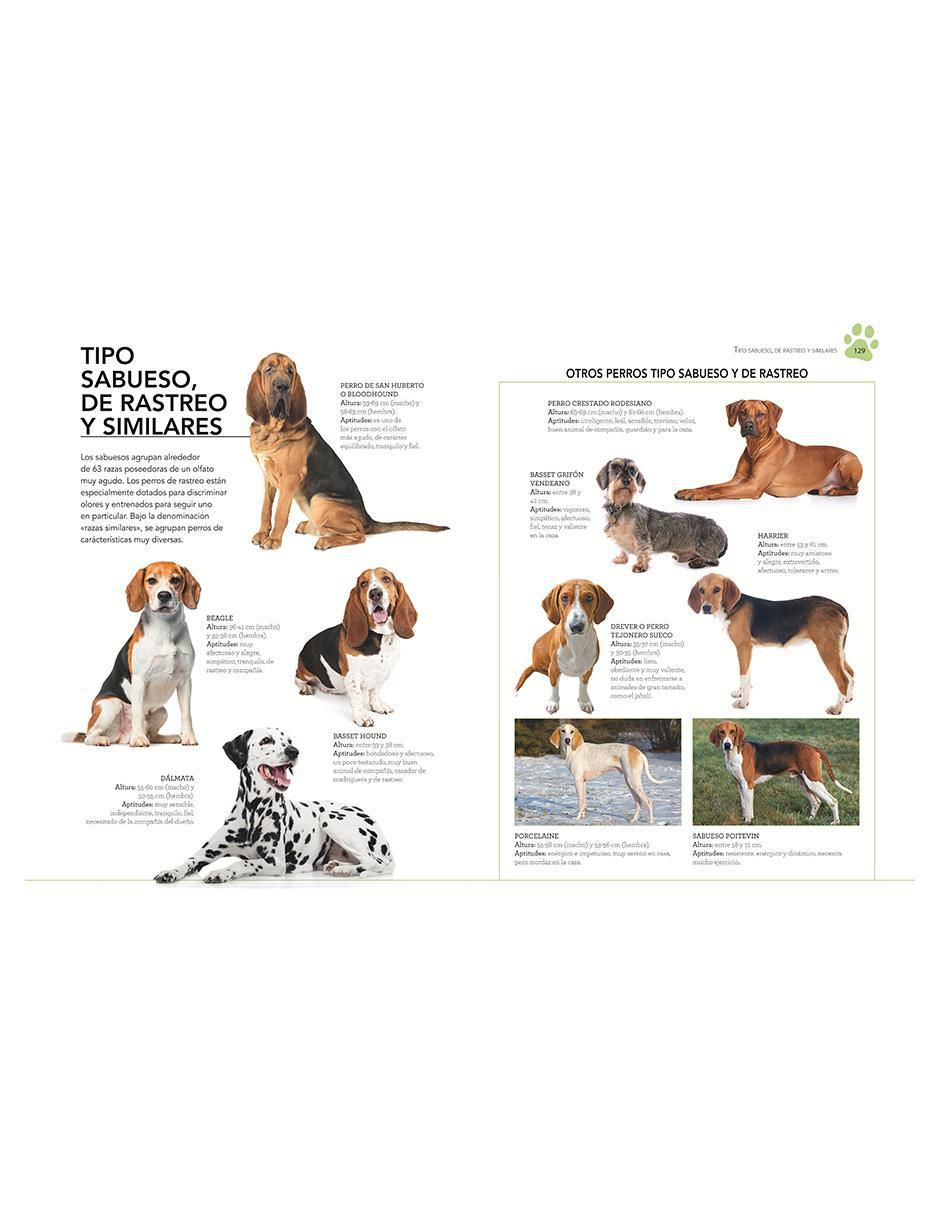 Libro Enciclopedia ilustrada del perro de Marín 7