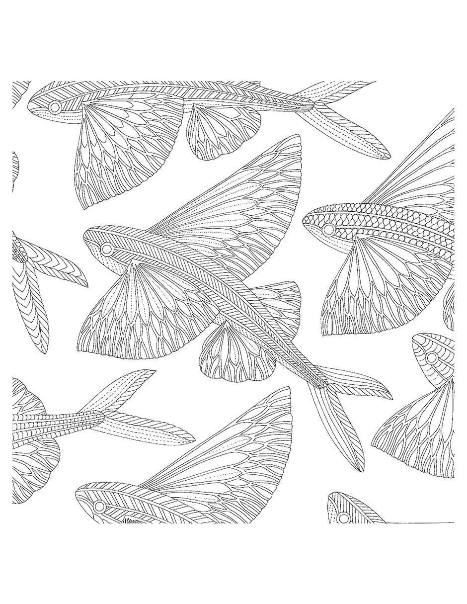 Libro Criaturas Curiosas: Miniaturas para Colorear de 2