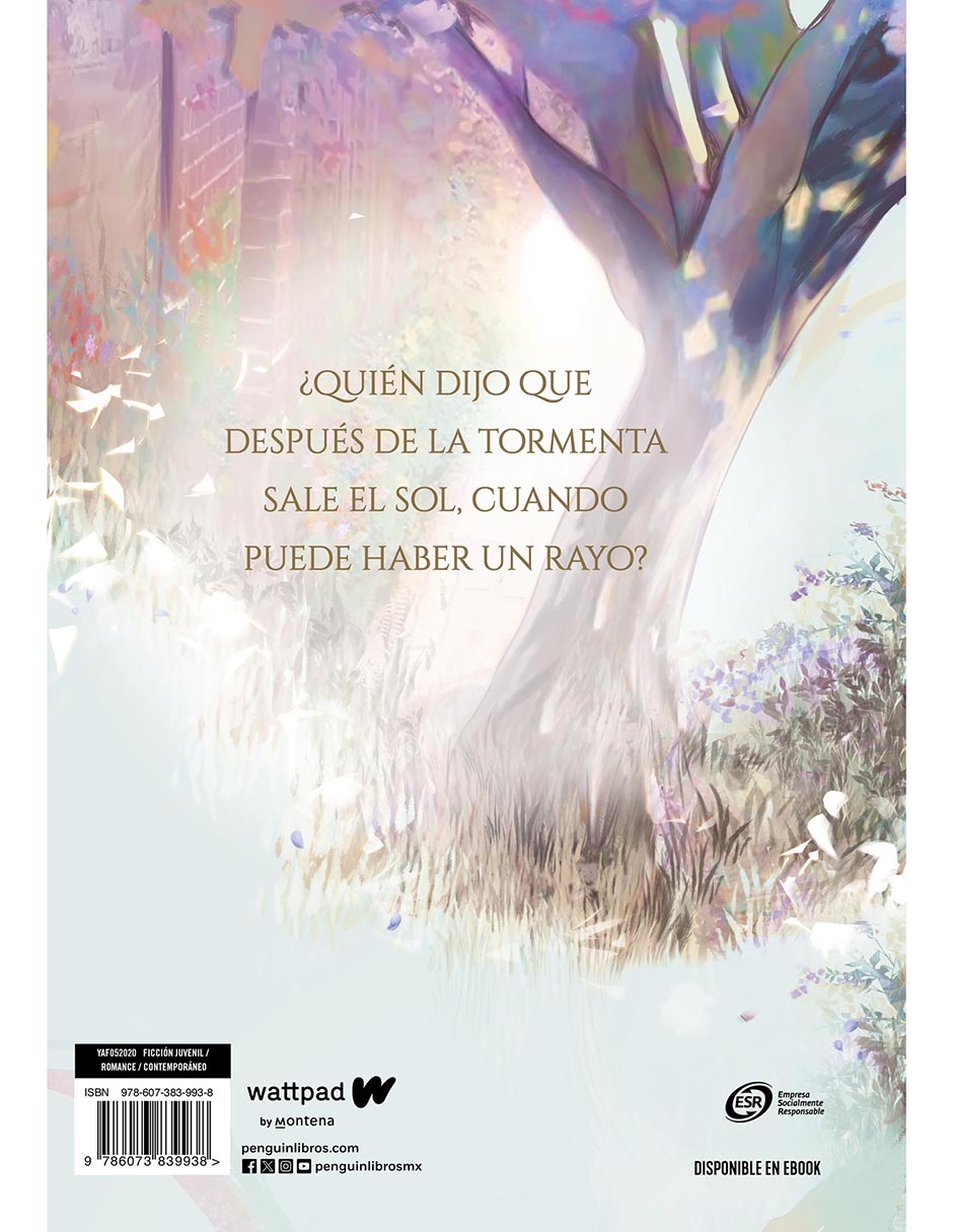 Libro Boulevard 1 Edición Especial de Flor M. Salvador