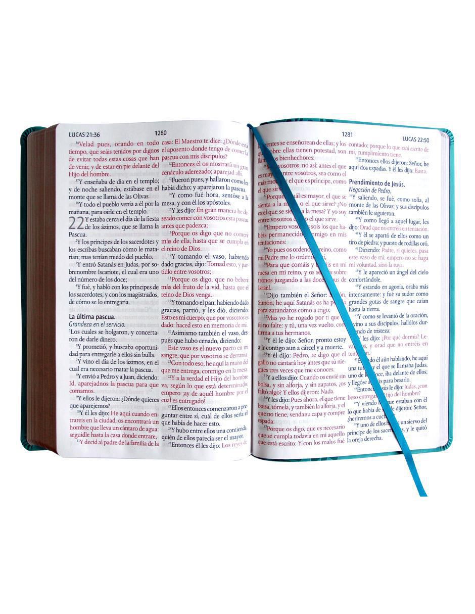 Libro Biblia letra gigante de Reina Valera